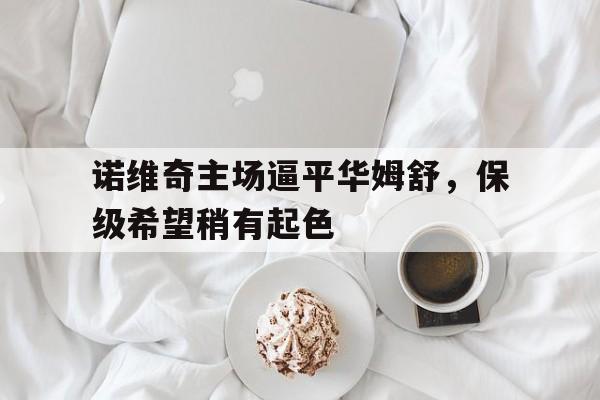 开云体育APP下载-诺维奇主场逼平华姆舒，保级希望稍有起色的简单介绍