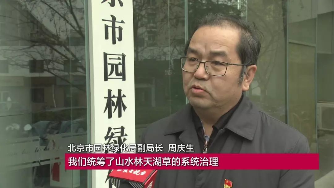 齐祖领衔顶级教练榜单，成绩亮眼