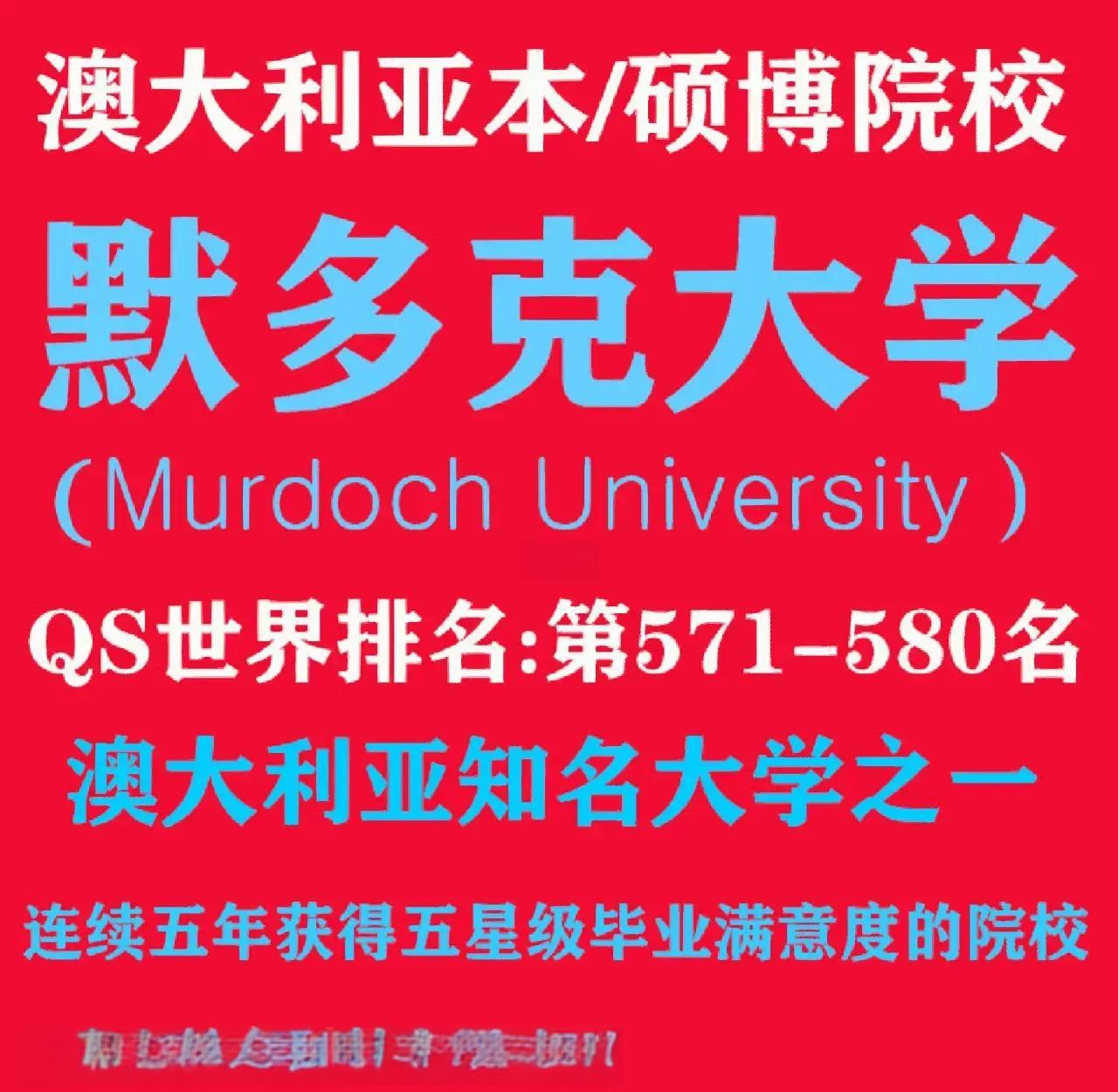 关于塞维利亚实力超群，或成为黑马的信息