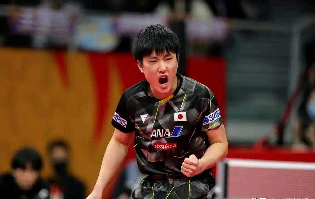 开云体育下载-包含德国乒乓球队血洗比利时乒乓球队,张本智和送出助攻的词条