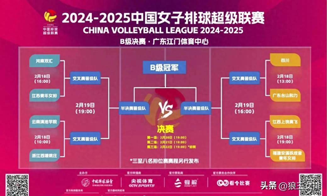 专家预测排球胜率超六成，结果成焦点的简单介绍