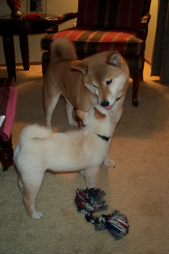 F1新赛季揭幕战之夜，当赛道轰鸣遇见卡马文加评分拉满的艺术