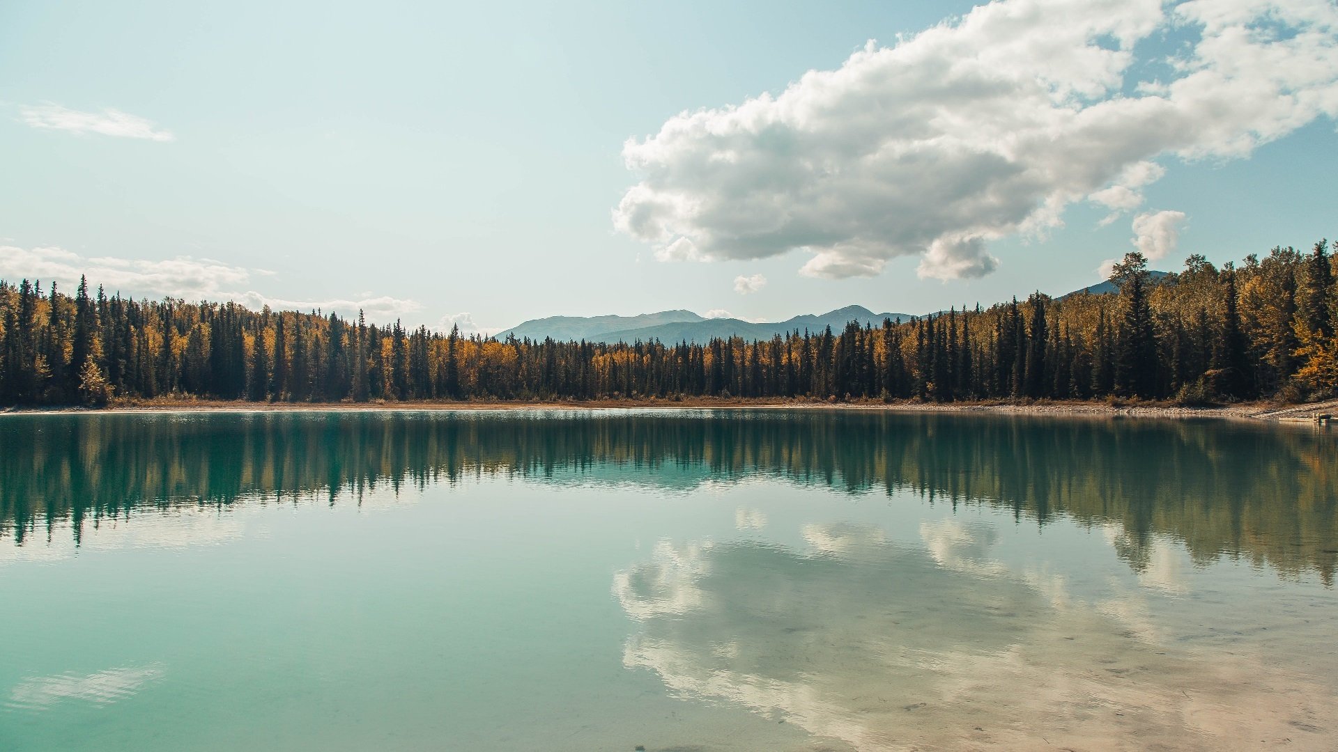 铁幕降临新奥尔良，掘金用窒息防守封锁鹈鹕进攻风暴