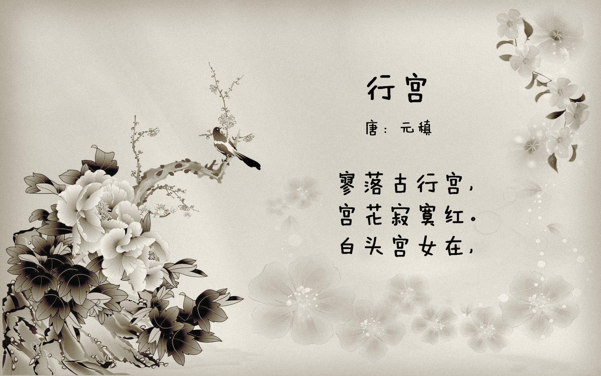 库里状态火热引领广东队制霸开拓者，跨联盟篮球的辉煌对决