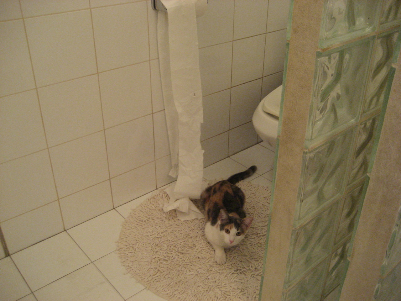 蒂亚戈的密码，当欧冠淘汰赛变成一个人的棋局