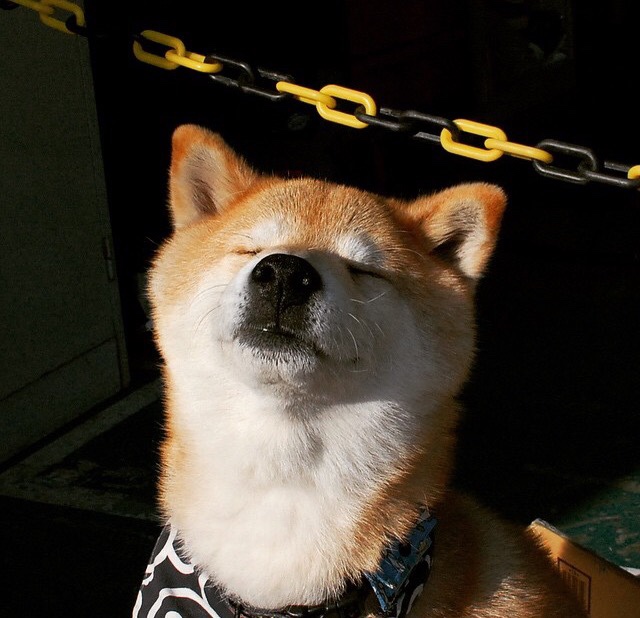 告别与新生，巴拉圭如何带走AC米兰，而楚阿梅尼在伯纳乌写下未来中场定义