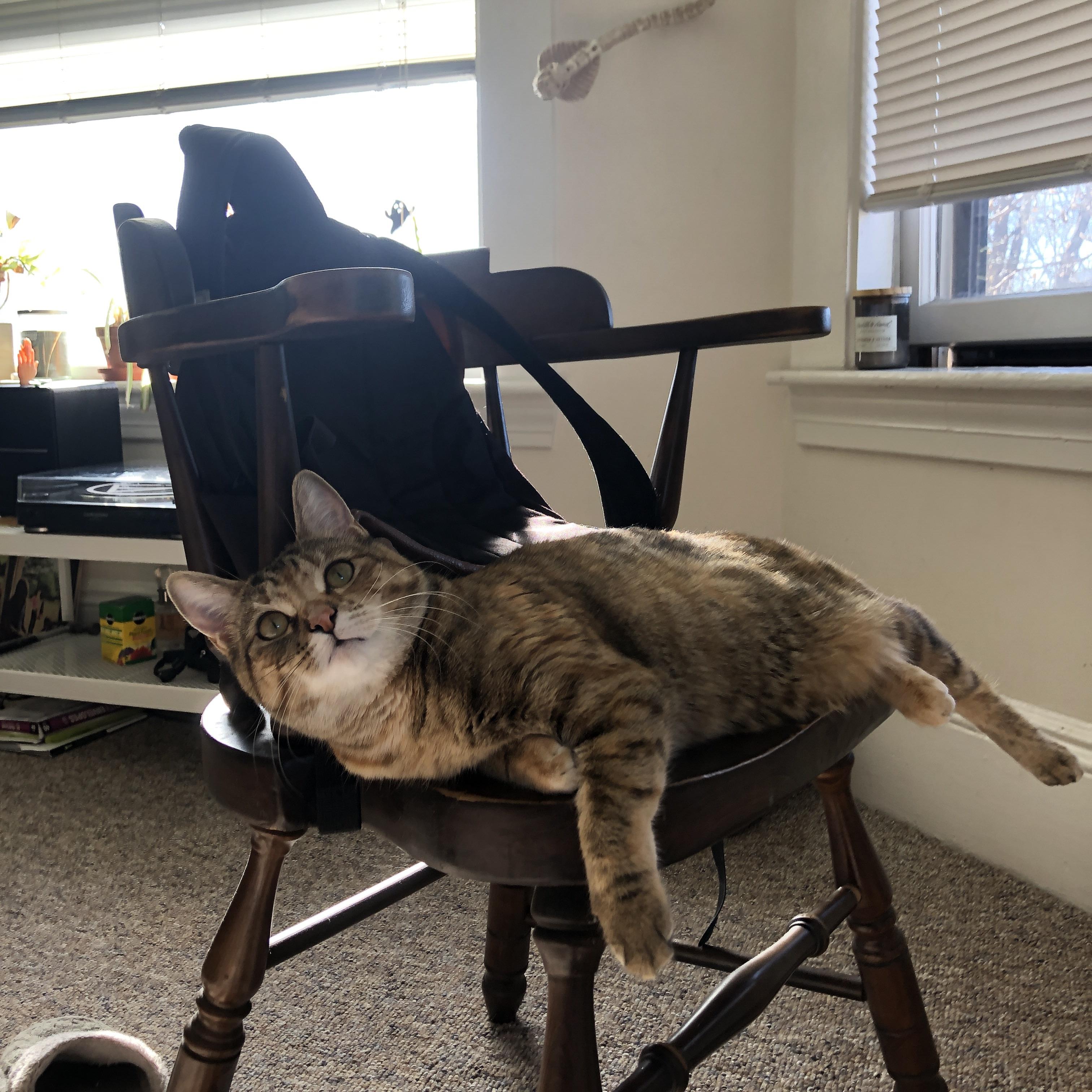 一球定乾坤，文班亚马绝杀点燃奥运烽火