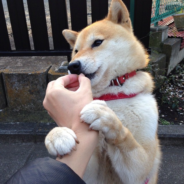 开云体育官方网站-范弗利特用实力说话,猛龙队对阵吉林队展现球星风采