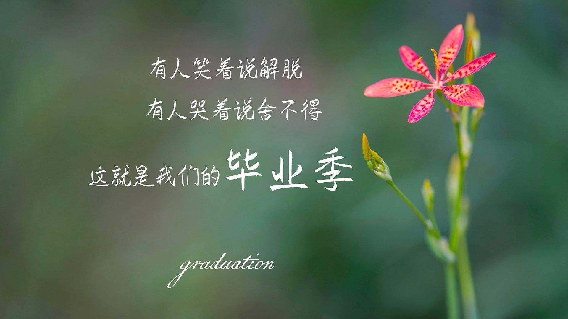 开云体育入口-吉林绝杀提前终结悬念,詹皇精神化身关键先生