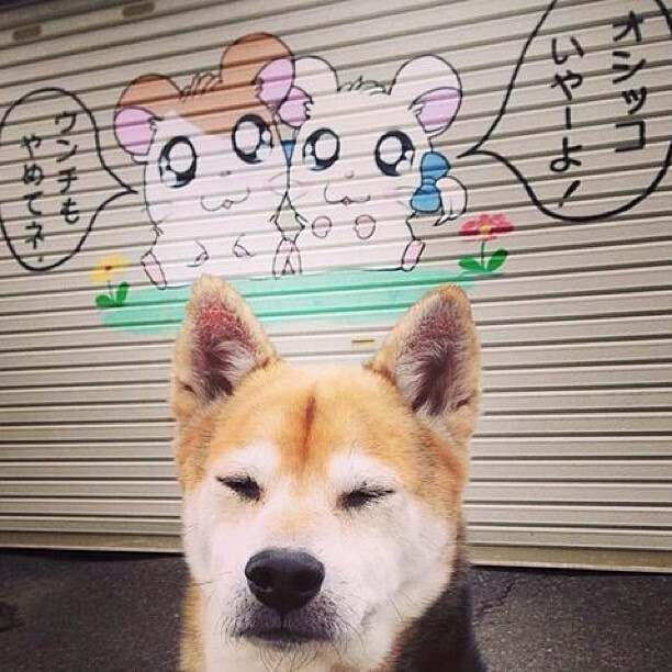 开云体育app-约基奇完美发挥引领尼克斯险胜广东队,一场跨界篮球盛宴的纪实