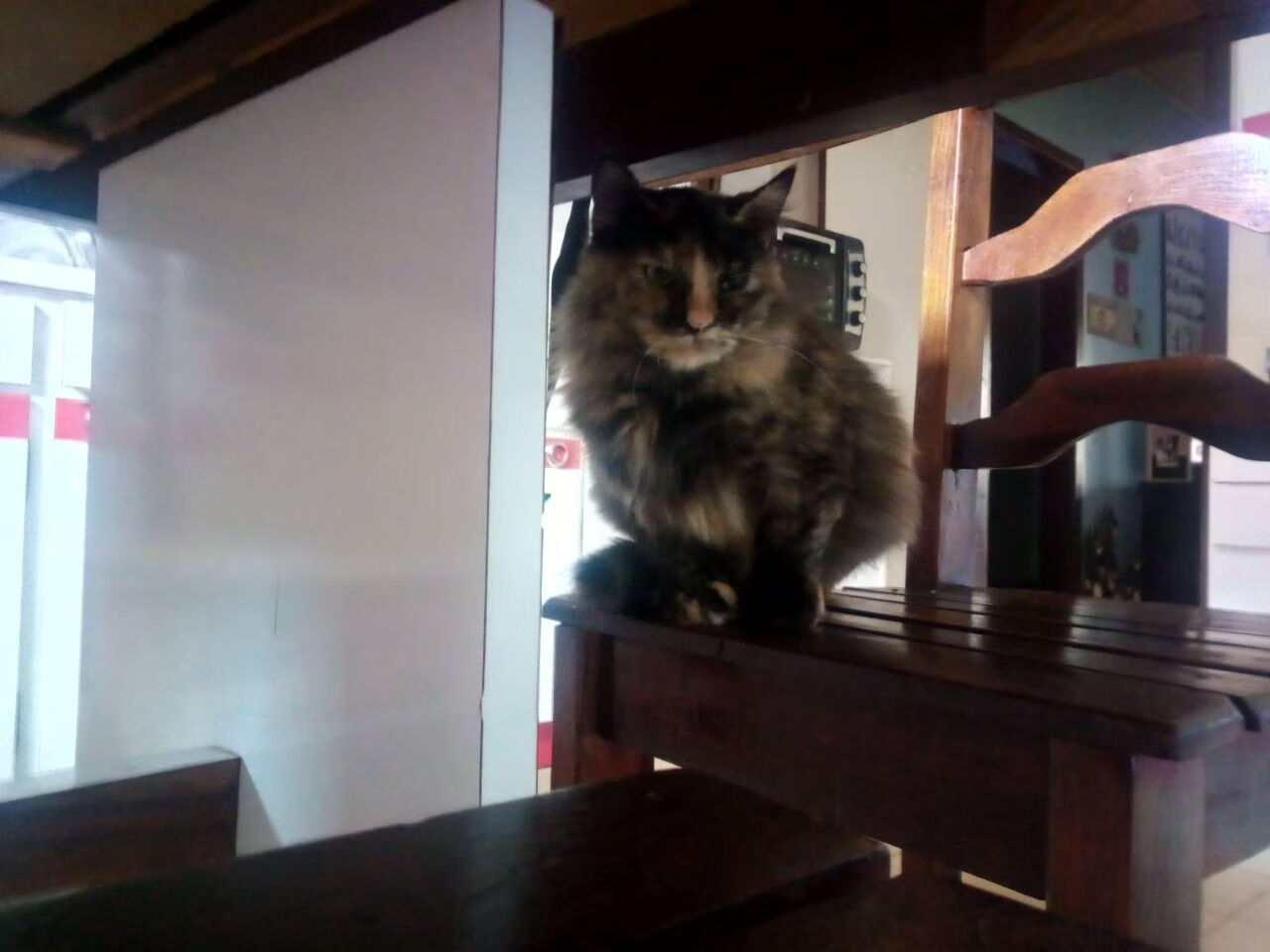 字母哥与上海队，当大心脏遇见末节杀手，强者如何在舞台上绽放