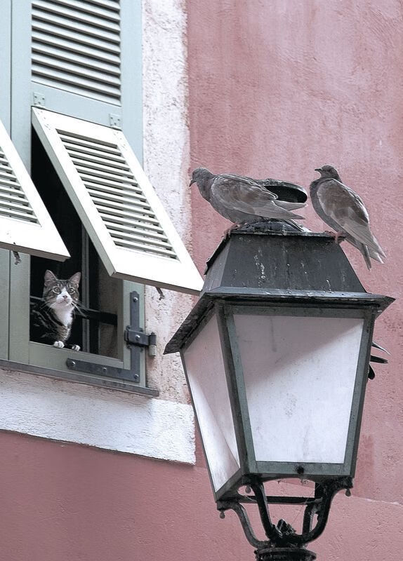 开云体育app-当火箭如潮水般淹没雄鹿,我们终于读懂了库里在总决赛的接管