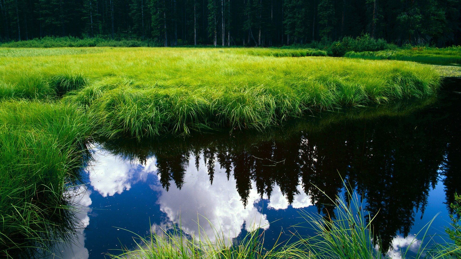 开云下载-降维打击，当美加墨的喧嚣成为字母哥进攻的交响乐