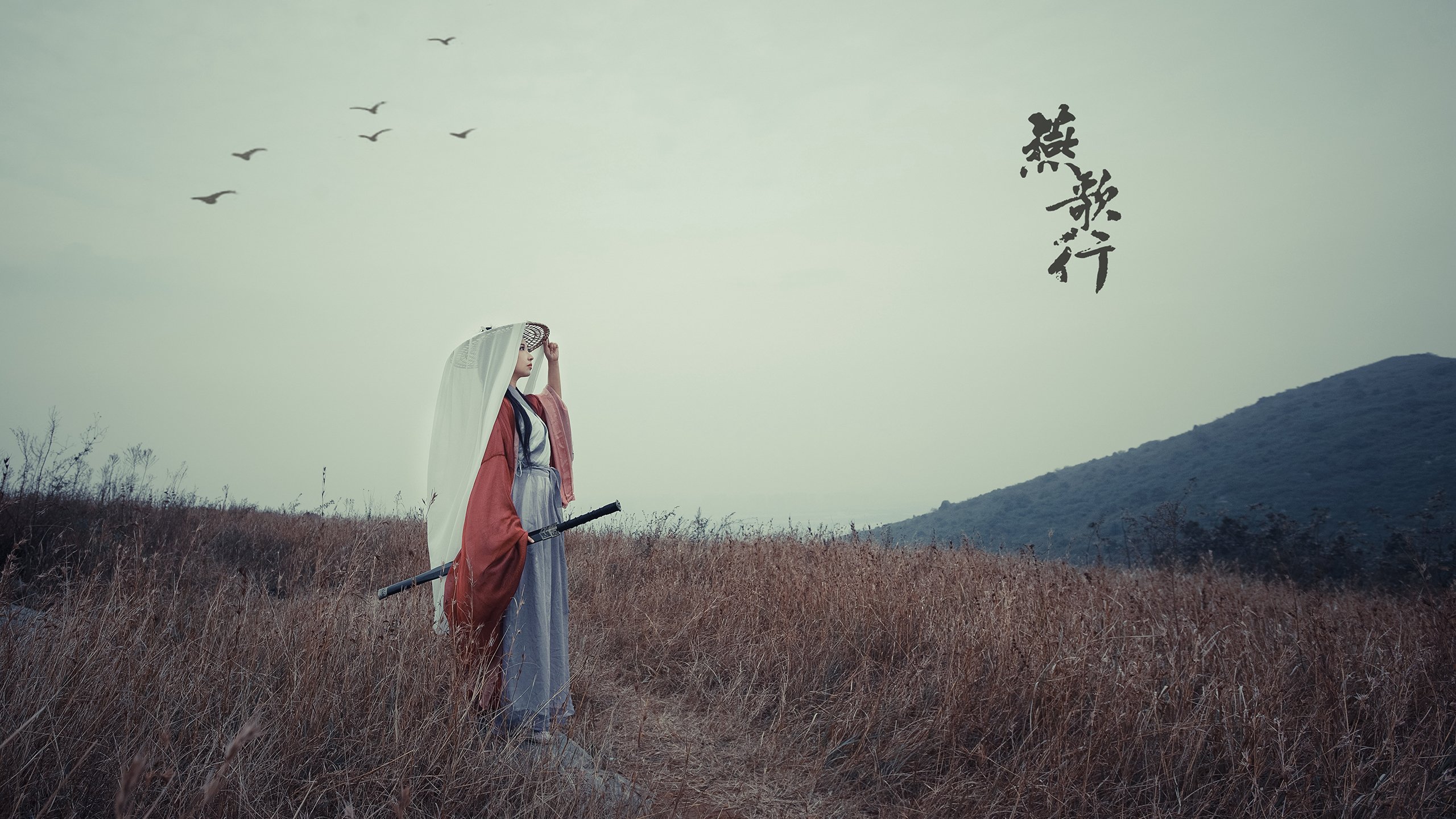 米切尔里程碑之夜,飓风般的得分狂潮席卷孟菲斯