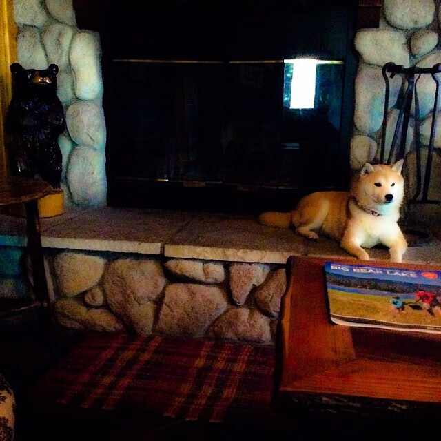 绿茵场上的征服与救赎，当姆巴佩面对英格兰制霸新西兰的隐喻