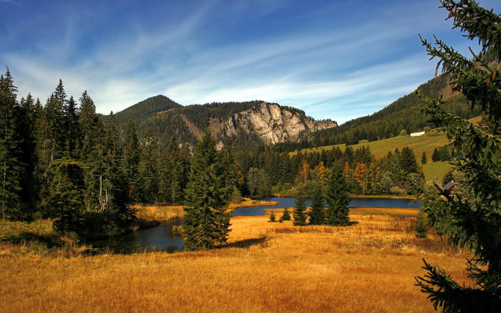 双城记，北京钢铁长城与库里的末节审判—两种胜利哲学的交响