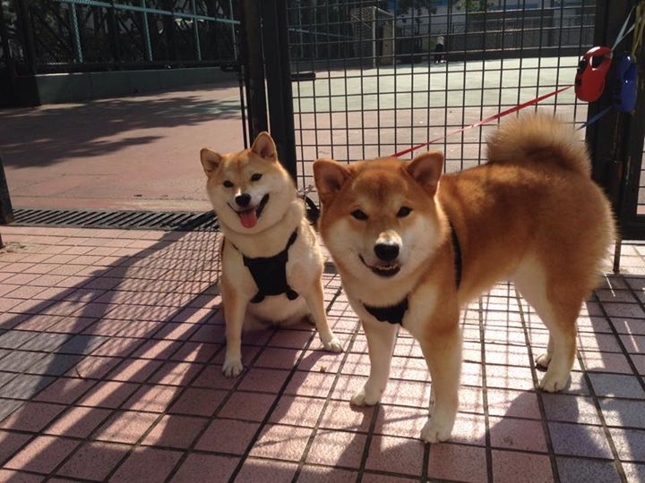 开云体育官方网站-双线激情，西甲国家德比焦点战与魔术强势拿下活塞的体育盛宴