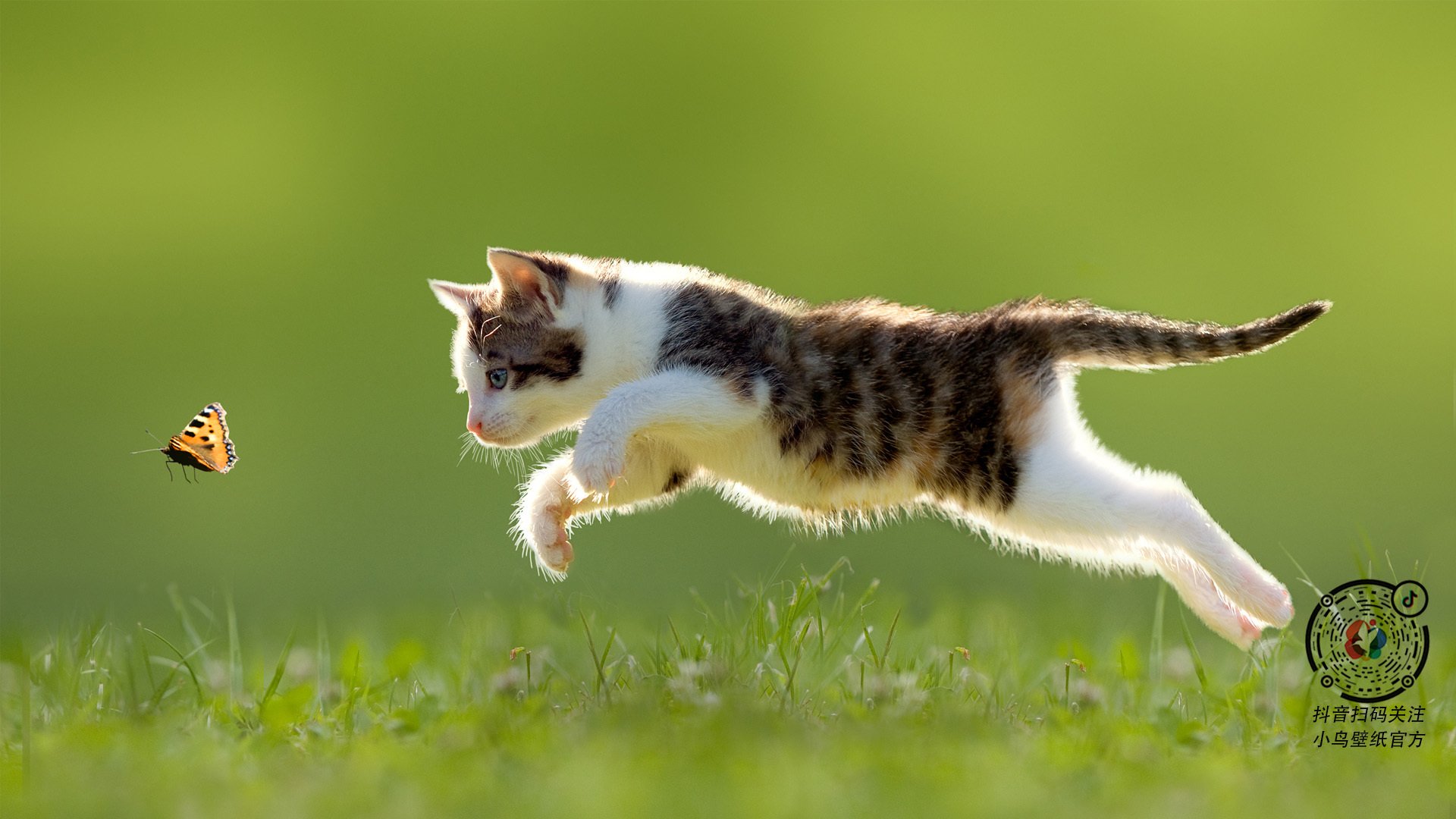 极速与点球,赛道与绿茵场上的决胜时刻