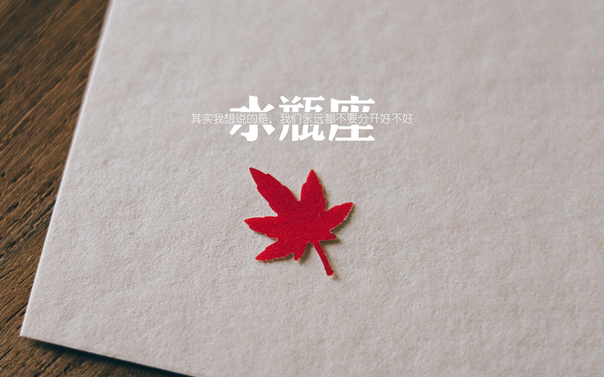 2026世界杯焦点战,辽宁队决胜局惊险带走雷霆,中国足球闪耀世界舞台