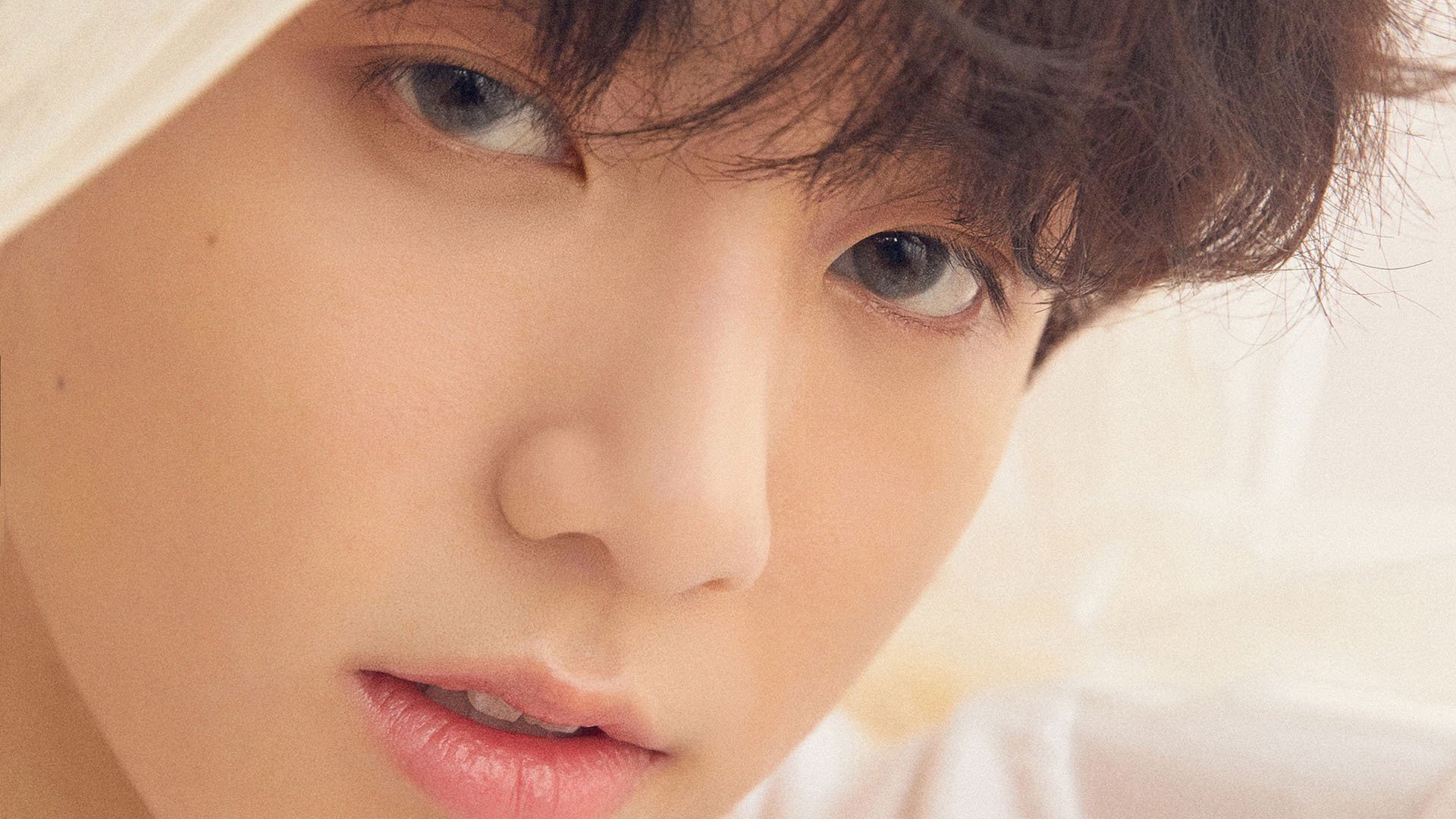 开云体育中国-速度与策略，F1街道赛焦点战与那不勒斯速胜多特蒙德的启示